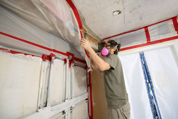 Best Mold Odor Removal Services  in Parshall, ND